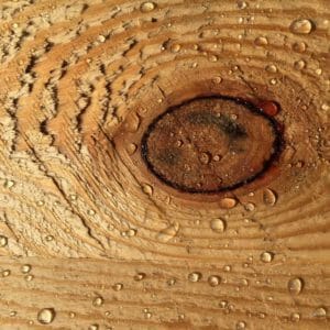 Holz wasserabweisend machen